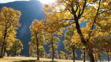 Ahornboden in der Eng, © Tirol Werbung/W9 Studios