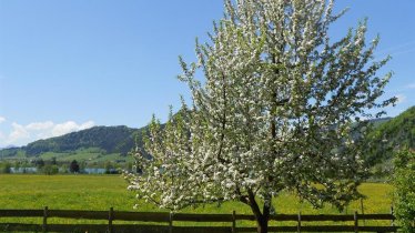 Garten zur freien Benützung