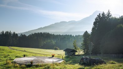 Yoga in freier Natur