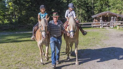 Landhaus Klotz Haflinger