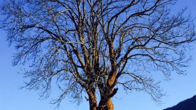 Spaziergang im Herbst, © H. S. Wilhelmer