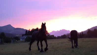 Abendstimmung am Bauernhof