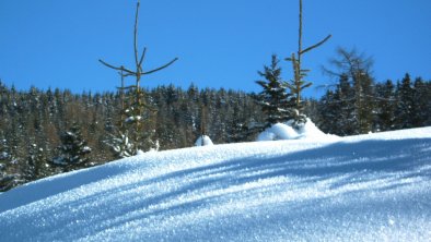 Ferienhaus Stubaiblick Winterlandschaft