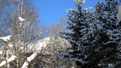 Winterstimmung im Garten