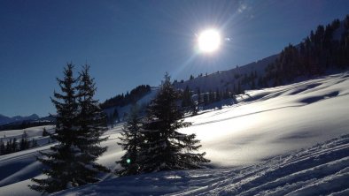 grenerhof-winterzauber-osttirol