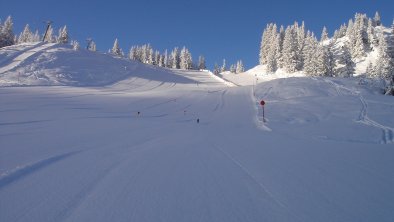 Skipiste am Thalerkogellift