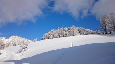 Haus Sonnegg Umgebung