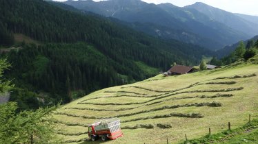 Navistal, © Tirol Werbung/Nicole Pfeifer