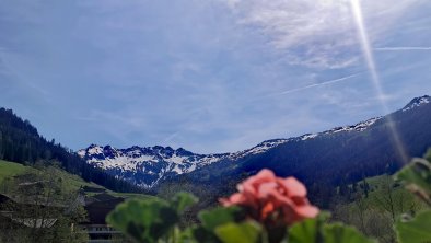 alpbachloft_alpbachtal-dakommtdersommer