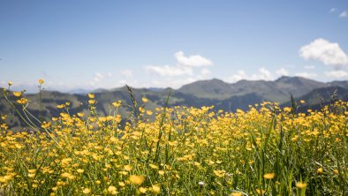 alpbachloft_alpbachtal_bergaussicht