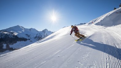 Ferienwohnung Alpina