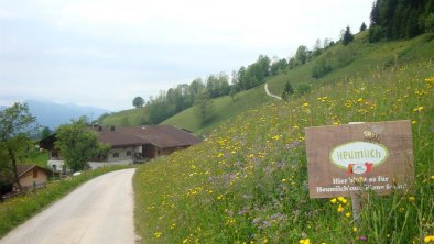 Unsere blühende Wiese vom Frühsommer 2014