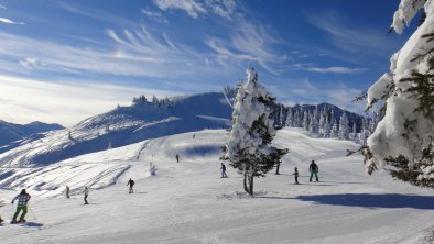 Skigebiet vor der Haustür