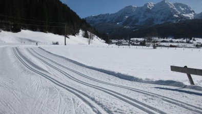 Hochfilzen - Langlaufen