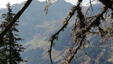 Farnkaseralm in Sicht