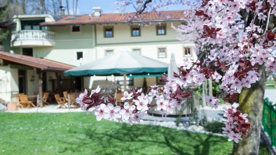 Garten beim Gasthof Schopper, © Seidl