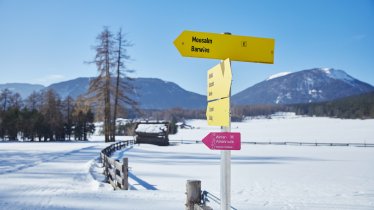 Auf der Mieminger Almenroute, © TVB Innsbruck