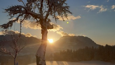 Späte Sonnenstrahlen