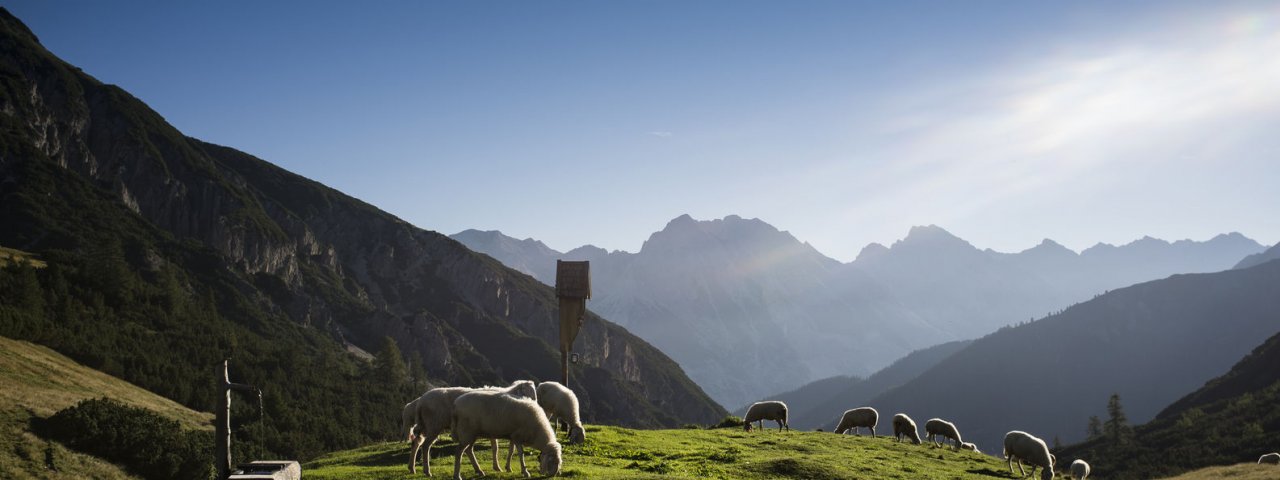 Adlerweg-Etappe 14:Solsteinhaus, © Tirol Werbung/Wiedenhofer Martina