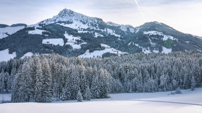 Aussicht vom Schlafzimmer