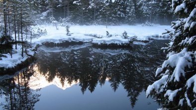 Wildsee Seefeld, © M.J. de Ruiter