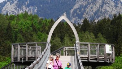 Baumgipfelweg im Auwalddschungel fe