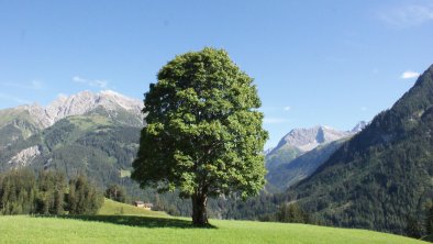 Pfarrig mit Ruitelspitz im Hintergrung