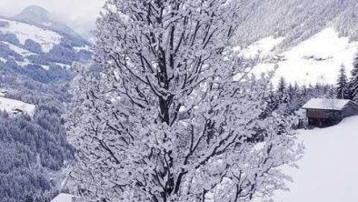 Winterstimmung, © Fam. Schwarzenauer