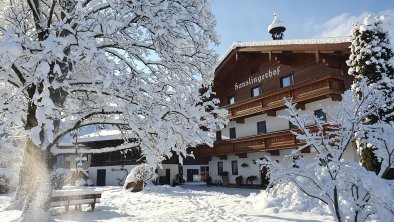 Hanslingerhof Winter