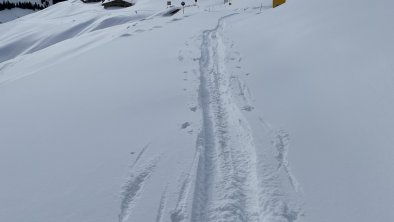 Alpbachtraum_Alpbachtal_Skijuwel_ Hornbahn