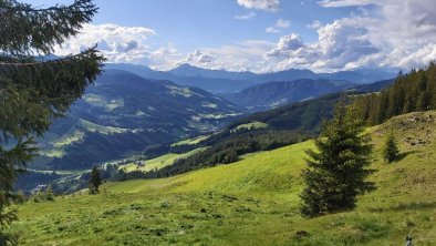 Prädastenalm - ein Naturjuwel