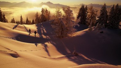 Wintermorgen, © Alpbachtal Tourismus / Bernhard Berger