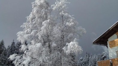 Winterwunderland