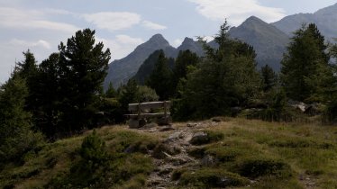 Adlerweg- Etappe 13: Zirbenweg, © Tirol Werbung/Jenewein Markus