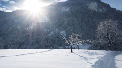 Spazierrundgang Ried