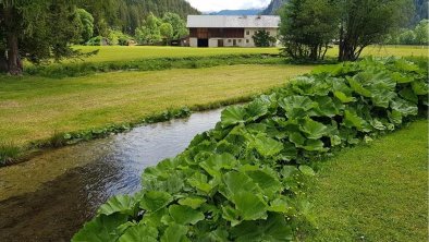 Landhaus Alpenblick Leutasch_ Garten Rossbrandbach