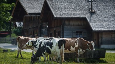 Eng-Alm am Großen Ahornboden, © Silberregion Karwendel