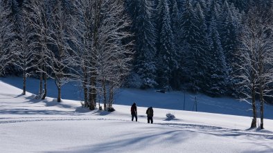 Winterwanderer in tief verschneiter Landschaft REc