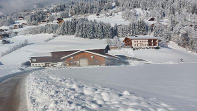 Reischhof Winter