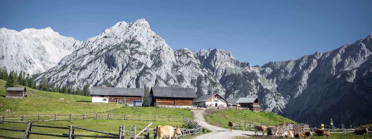 MTB-Tour zur Walderalm, © Tourismusverband Hall Wattens