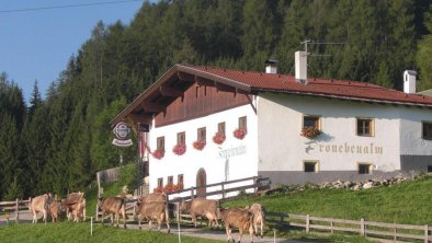 Fronebenalm Sommer