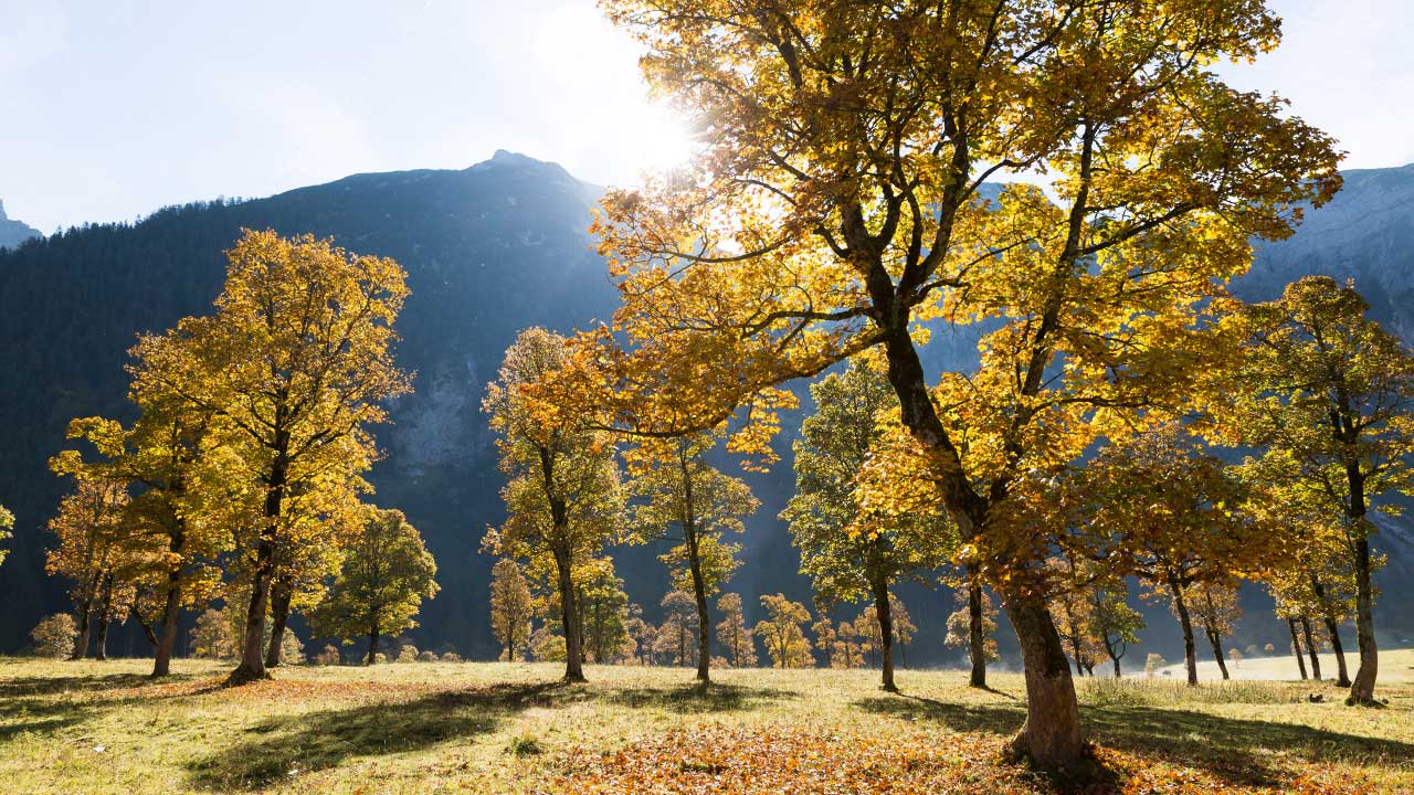 Herbsturlaub gro  en Ahornboden Tirol   sterreich